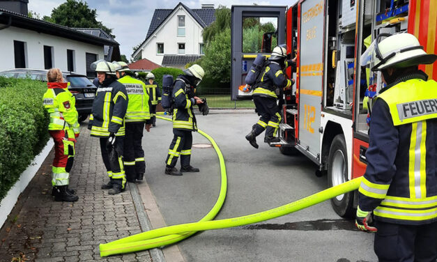 Heckenbrand war schnell gelöscht