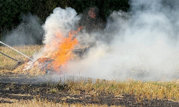 Erntemaschine fängt auf dem Feld Feuer