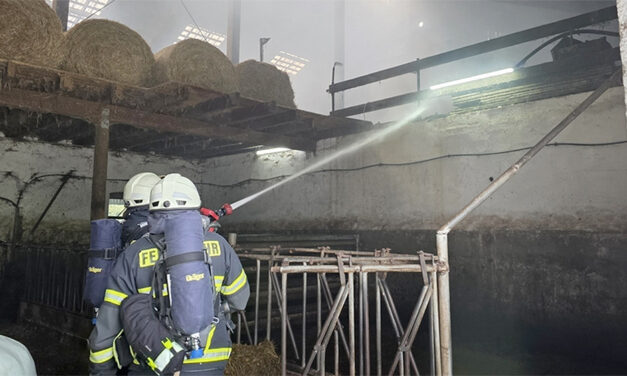 Feuer breitete sich auf Strohboden aus