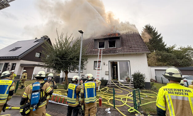 Mehrere Personen erlitten eine Rauchgasintoxikation