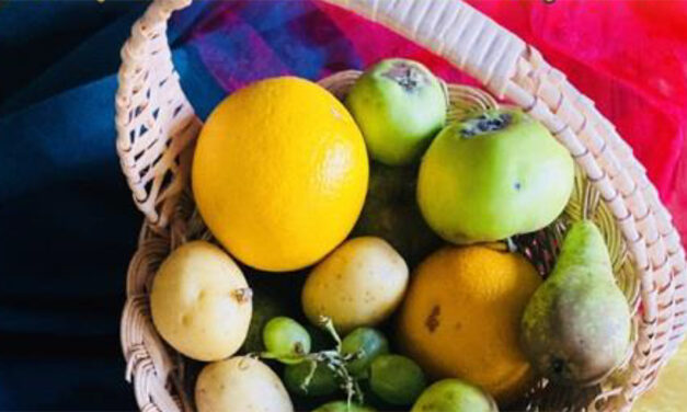 Erntedank und neue Prädikantin