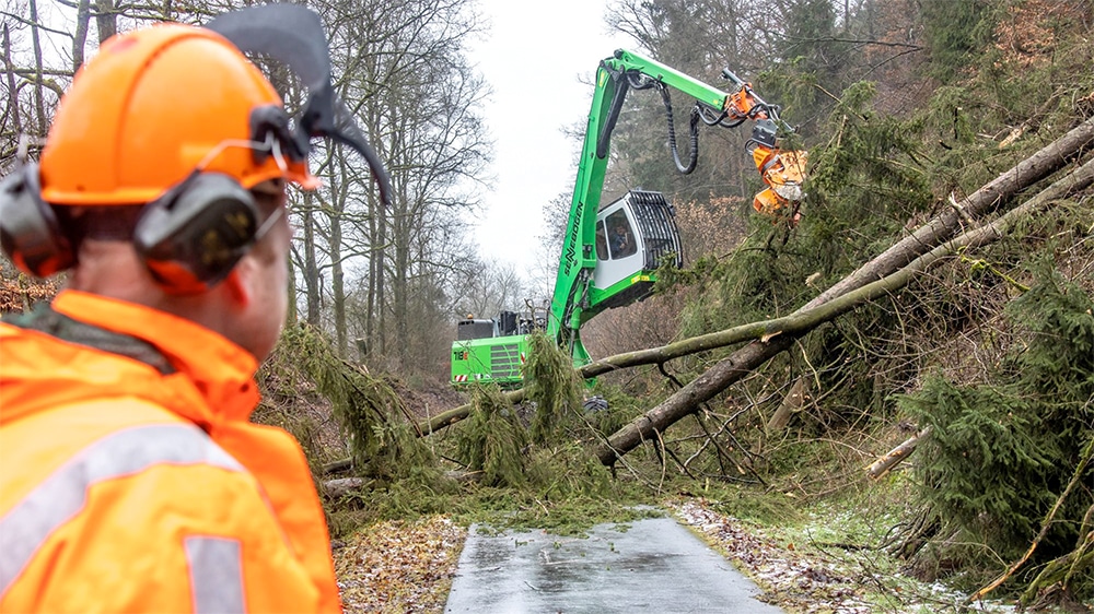 Gehölzpflegesaison startet jetzt wieder