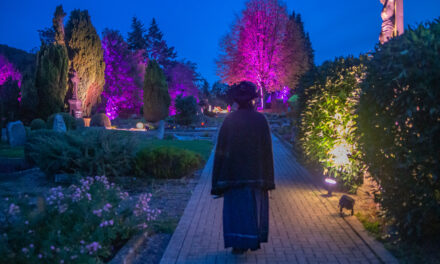 Mit der Schwarzen Witwe auf der Suche nach dem Tod