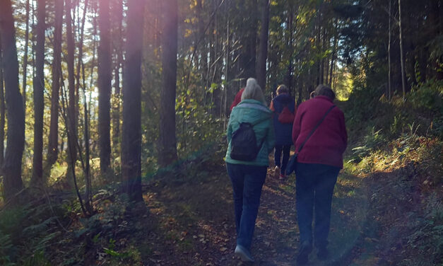Meditatives Rosenkranz-Wandern in Stockum