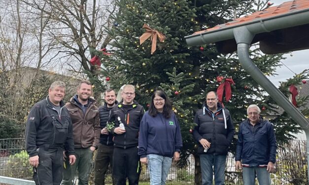 Weihnachtsbaum schmückt Höveringhausen