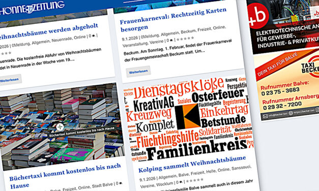 Mehr als eine  Million Aufrufe der Online-Ausgabe