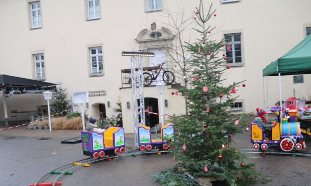 Ihre Stimme ist gefragt – Weihnachtsbaumschmückaktion