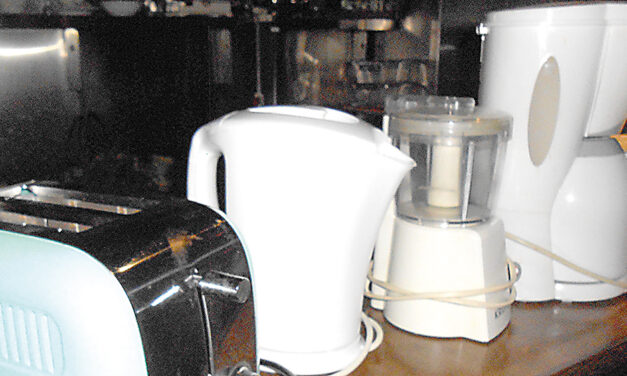 Elektrotauschbörse im ehemaligen Deutschen Haus