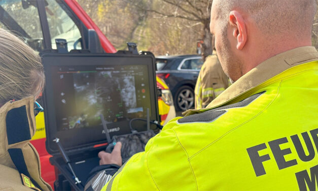 Feuerwehr bekämpft Waldbrand im Steilhang