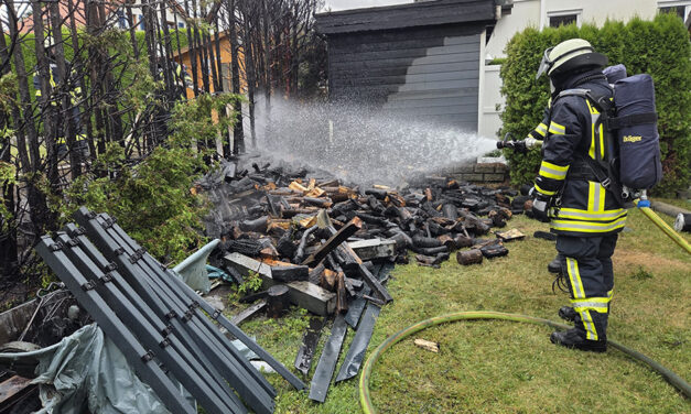 Trockene Hecke geriet nach Funkenflug in Brand
