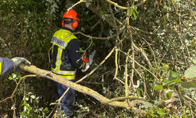 Löschgruppe Hönnetal beseitigte Baum
