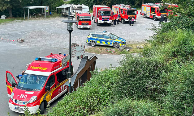 Massiver Einsatz verhindert großen Waldbrand
