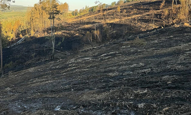 Einsatz in Stemel ist noch nicht beendet